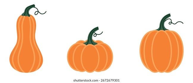 Kürbis-Set mit Halloween-Karikaturen. Verschiedene Formen und Größen orangefarbener Kürbis einzeln auf weißem Hintergrund. Vektorgrafik.
