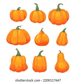 Juego de calabaza de halloween con dibujos animados. Calabaza de calabaza verdura orgánica fresca. Acción de Gracias o Halloween. Simple calabaza colorido símbolo de icono aislado blanco Vector Ilustración