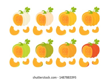 Cartoon Halloween pumpkin set. Pumpkin vegetable with green leaves and slices. Botanical illustration isolated on white background. The cross section of the pumpkin.Vector illustration