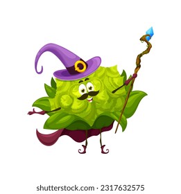 Cartoon Halloween romanesco cabbage character. Isolated vector smiling vegetable wizard with sorcerer staff. Funny veggies warlock personage in festive costume witchcraft hat and cape