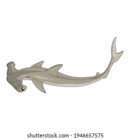 Cartoon Hammer-head Shark. Vector Sphyrnidae Illustration.