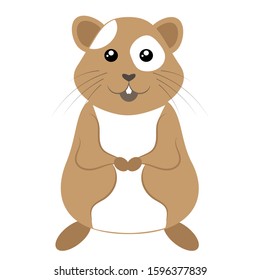 Cartoon hamster. Vector illustration on a white background. Drawing for children.