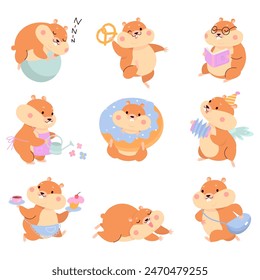 Cartoon hamsters. Cute fluffy hamster in different poses. Funny rodent sleepings, playing and eating. Fatty pets various situations, nowaday vector set