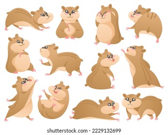 Cartoon hamsters. Cute pet in different poses, fluffy rodent and hamster mascot isolated vector Illustration set. Lazy animal with various facial expressions as laughing, running and winking