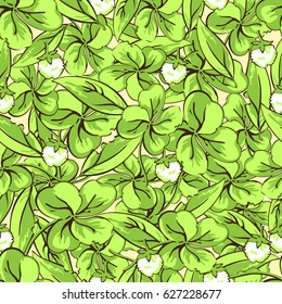 Cartoon hand drawing leaves and flowers of clover seamless pattern, vector background. For fabric design, wallpaper, wrapper, print, decoration