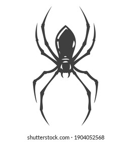 Cartoon hand drawn black spider isolated on white background. Design minimalistic element for logo, icon. Vector illustration.