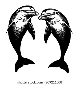 cartoon, hand drawn, vector, sketch, illustration of dolfins