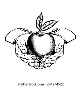 cartoon, hand drawn, vector, sketch, illustration of healthy food, eco food