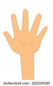 Cartoon Hand with five fingers. open hand cartoon style Isolated 2d vector illustration of human hands.