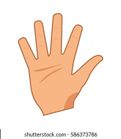 Cartoon hand showing the five fingers. Vector illustration isolated