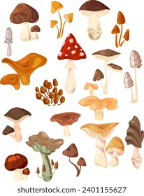 Cartoon hand-drawn mushrooms. Poisonous and edible mushrooms, chanterelles, porcini mushrooms, fly agaric and a set of isolated vector illustrations. Types of wild mushrooms