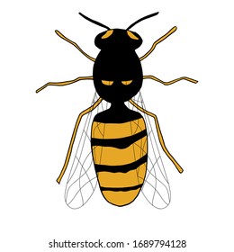 Cartoon hand-drawn vector insect wasp