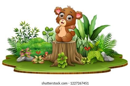 Cartoon happy baby bear sitting on tree stump with green plant