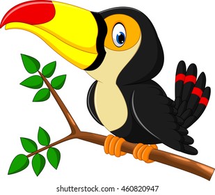 Cartoon happy bird toucan