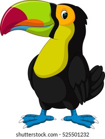 Cartoon happy bird toucan