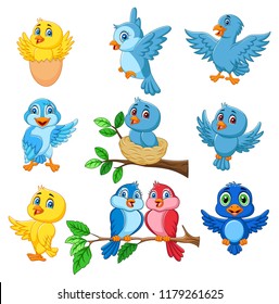 Cartoon happy birds collection set