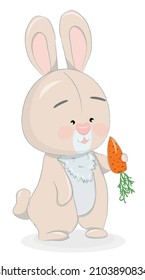 Cartoon Happy Chubby Pink Bunny With Carrot