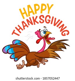 Cartoon happy cute thanksgiving turkey bird. Vector illustration isolated. Design for Thanksgiving Day