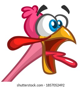 Cartoon happy cute thanksgiving turkey bird. Vector illustration isolated. Design for Thanksgiving Day