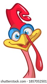 Cartoon happy cute thanksgiving turkey bird. Vector illustration isolated. Design for Thanksgiving Day
