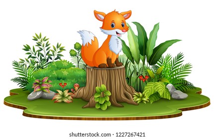 Cartoon happy fox sitting on tree stump with green plants