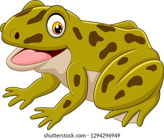 Cartoon happy green frog