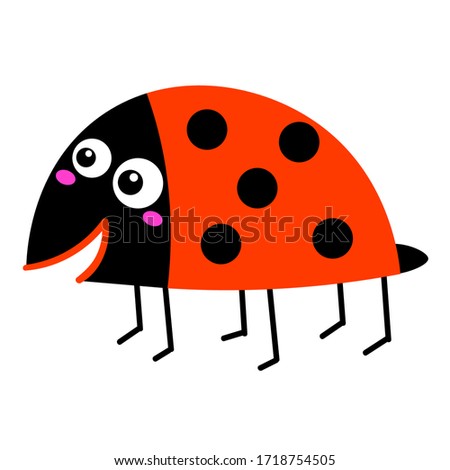 Cartoon happy Ladybug in flat style isolated on white background. Vector illustration.  