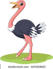 Cartoon happy ostrich in the grass