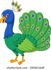 Cartoon happy peacock on white background