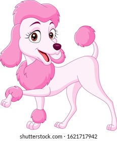 Cartoon happy pink poodle isolated on white background