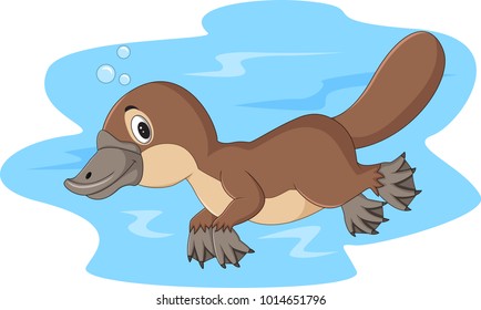 Cartoon happy platypus swimming 