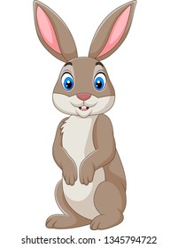 Cartoon happy rabbit isolated on white background
