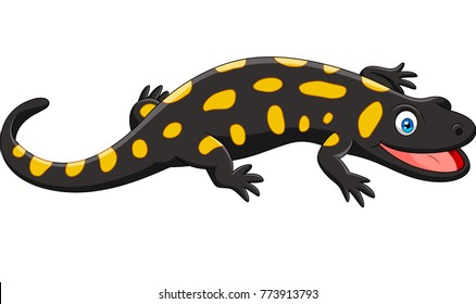 Salamander Images, Stock Photos & Vectors | Shutterstock