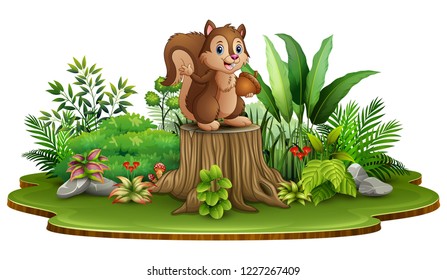 Cartoon happy squirrel holding pine cone and standing on tree stump with green plants