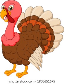 Cartoon happy turkey on white background