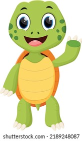 Cartoon Happy turtle isolated on white background