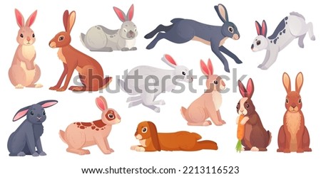 Cartoon hares poses. Wild spring gray hare with carrot, cute bunny running sleeping or standing jackrabbit, white brown easter rabbits collection pet, ingenious vector illustration