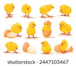 Cartoon hatched chicks. Hatching chick with little wings, baby chicken birth chickens brood easter farm bird cute babies, cartoon hen newborn born in egg neat vector illustration of cartoon chick egg