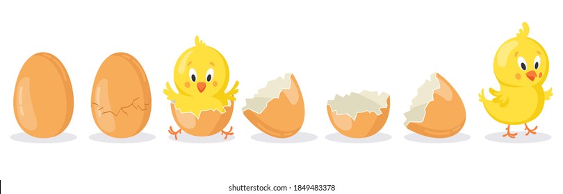Cartoon hatched easter egg. Cracked chicken eggs with cute chicken mascot, newborn baby chick bird hatching from egg vector illustration set. Poultry cute yellow character appearance