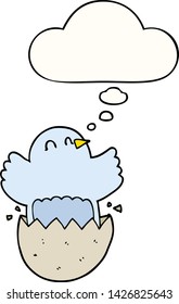 cartoon hatching chicken with thought bubble