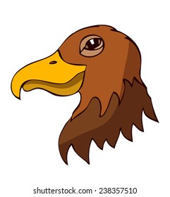 Cartoon Hawk Head Vector Illustration isolated on White Background. 