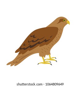 Cartoon hawk icon on white background. Vector illustration.