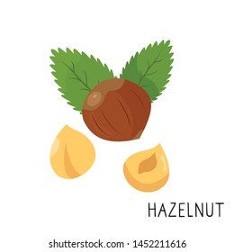 Cartoon hazelnut isolated on white background.