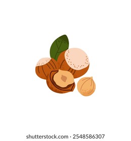Cartoon hazelnut. Nuts in shell and peeled pieces with leaf. Healthy food. Diet snack. Organic vegetarian element. Whole and half. Natural plant ingredient packaging design. Vector isolated illustrati