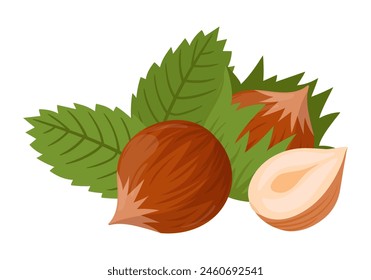 Avellana de dibujos animados. Avellana cruda orgánica con hojas, sabrosos aperitivos para la dieta vegetariana Ilustración vectorial plana. Avellana sobre blanco