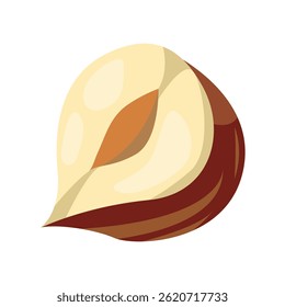 Cartoon hazelnut. Organic raw hazel with leaves, tasty snacks for vegetarian diet flat vector illustration. Hazelnut on white background. healthy white, shell brown, hazel organic, snack whole, half.