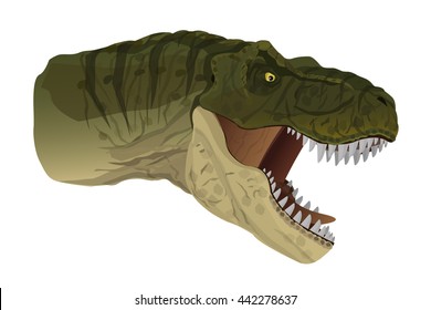 Cartoon Head of  Tyrannosaurus(T-rex) opened her mouth roaring isolated on white background. Vector Illustration