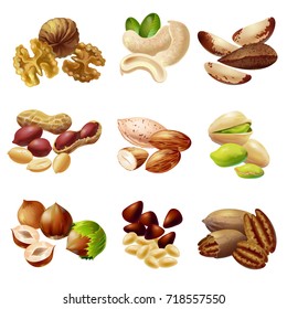 Cartoon healthy nuts set with walnut cashew almond hazelnut pecan pistachio peanut brazil pine nuts isolated vector illustration 