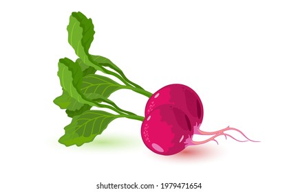 Cartoon of healthy vegetable product, mellow bulb with green leaf. Vector light snack, ingredient for cooking food, spring salad, dietary. Idea of vegetarian eating, eco vegetable isolated on white