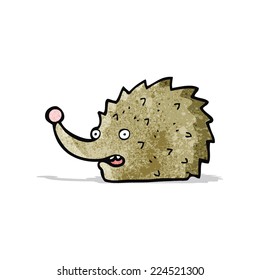 erizo de dibujos animados